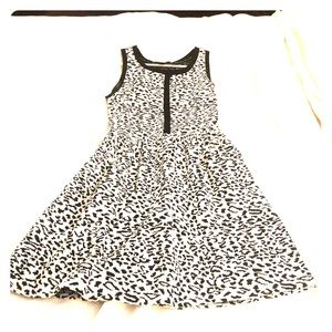 Aqua black and white cheetah print